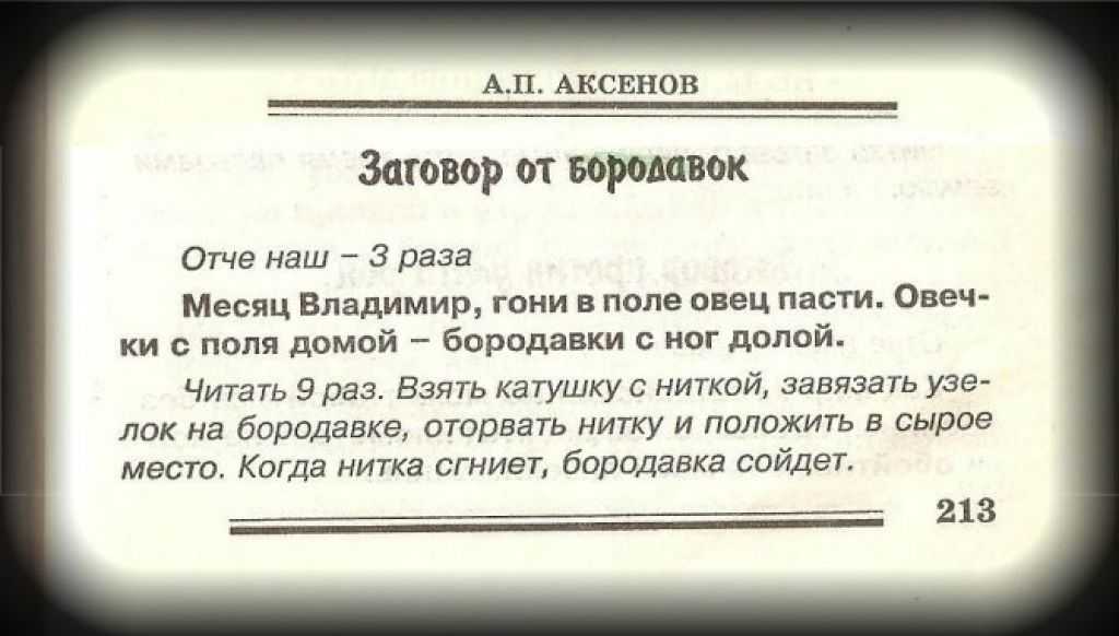 Заговор от бородавок Самые сильные и эффективные бабушкины наговоры от бородавок на веточку, в поле или на увядающее яблоко