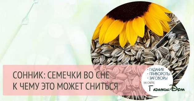 К чему снятся семечки Толкование значения сна в различных сонниках для мужчин и женщин с учетом подробностей семечки какого растения вы видели  подсолнечные или тыквенные, мало их было или много, кушали вы их или нет, и другие детали