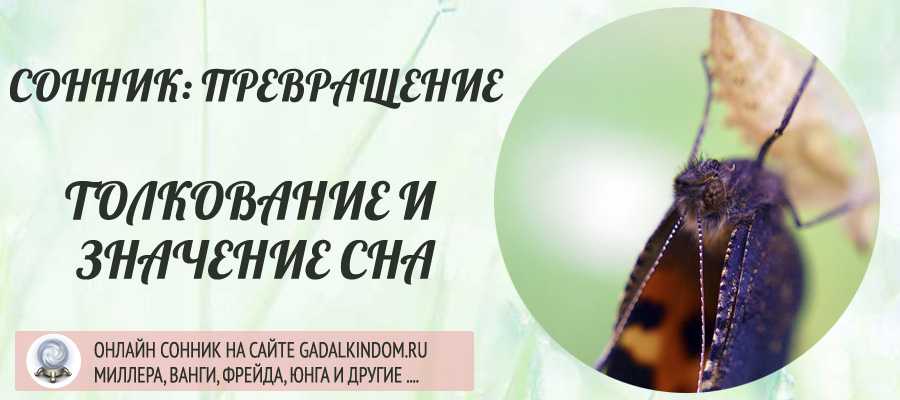 Сонник музыкальные инструменты или к чему снятся музыкальные инструменты. видеть во сне музыкальные инструменты