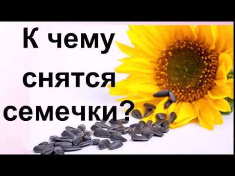 К чему снятся семечки много