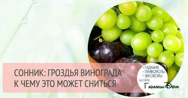 К чему снится виноград - толкование сновидения