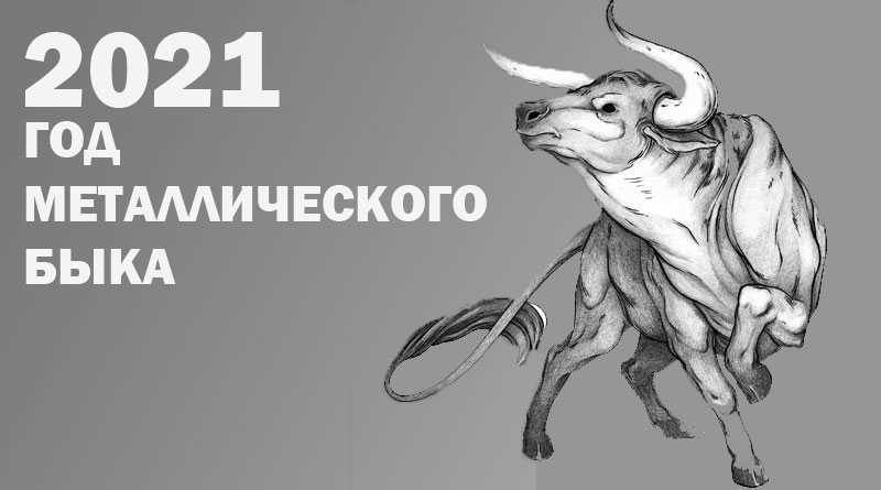 2021 год – какого животного: гороскоп, главные цвета, прогнозы