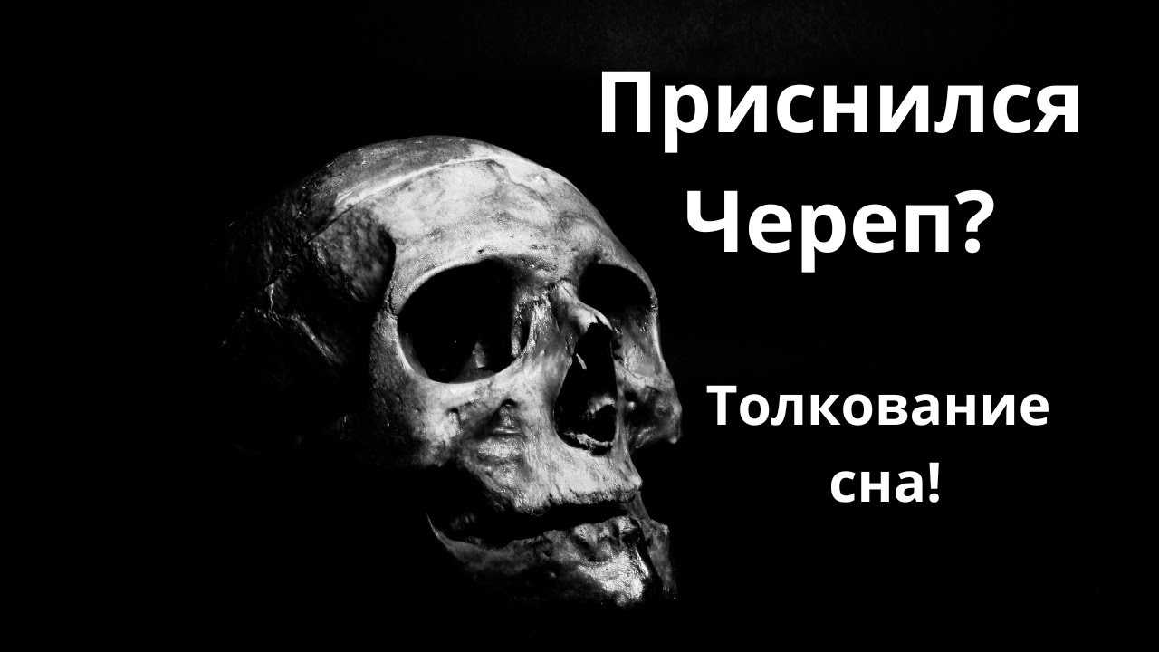 К чему снится череп во сне, человека, животного, или целая их гора Толкование по сонникам Миллера, Ванги и Фрейда с учетом подробностей