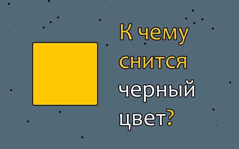Как расшифровать сон о дыне — 33 значения