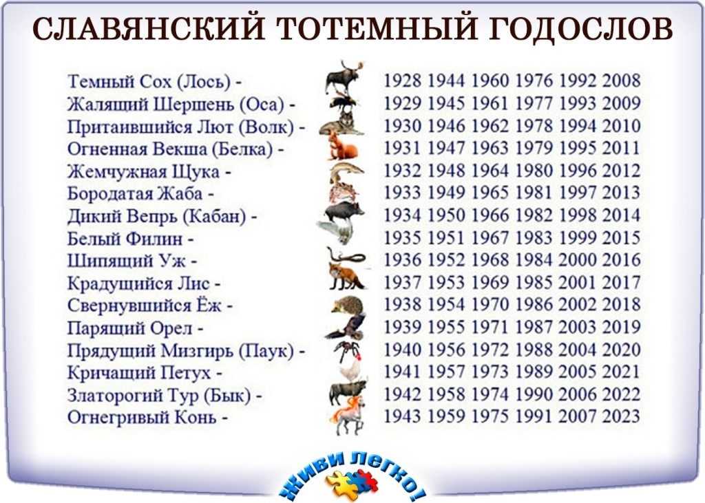 Восточный (китайский) гороскоп | магия в нас и вокруг нас вики | fandom