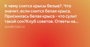 К чему снится белая крыса. сонники про белую крысу во сне