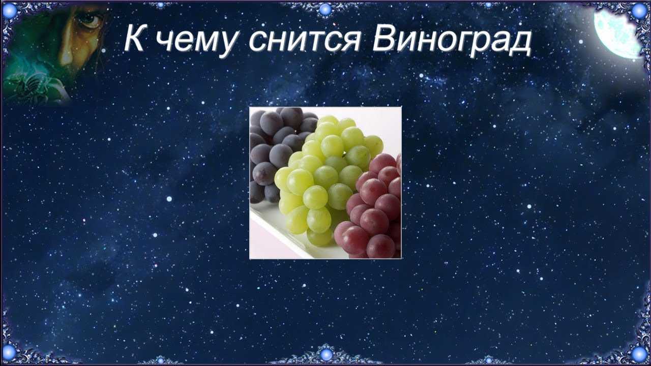 Сонник: приснился виноград. к чему снится виноград, гроздья винограда, крупный, мелкий? - tolksnov.ru
