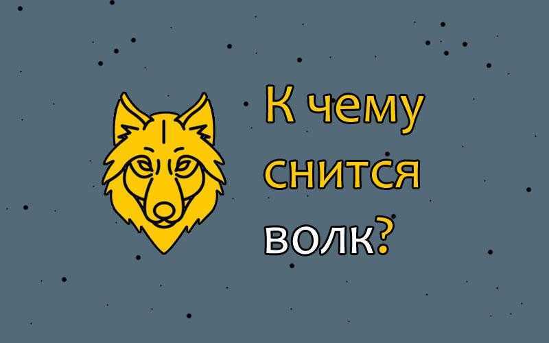 К чему снится волк