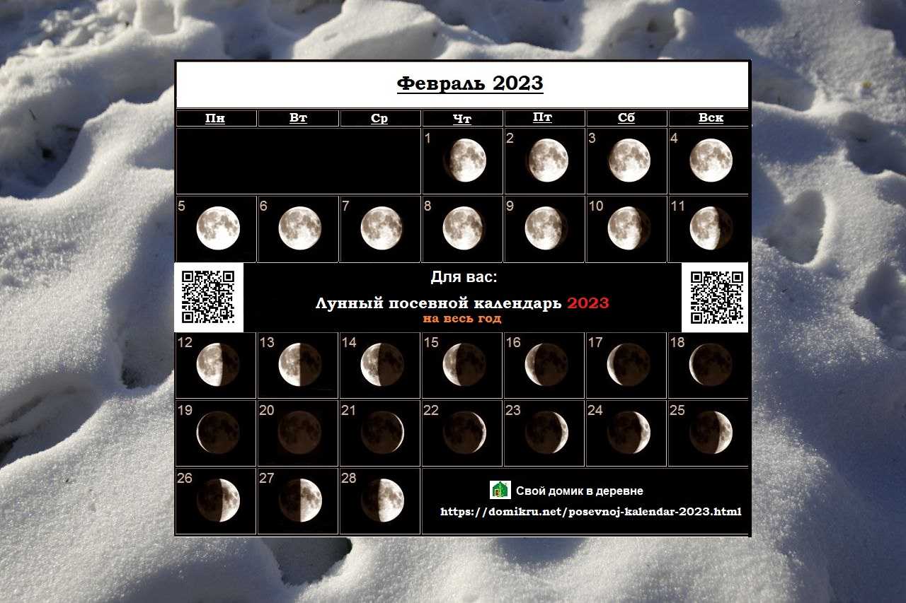 Лунный календарь на октябрь 2023 года - благоприятные дни