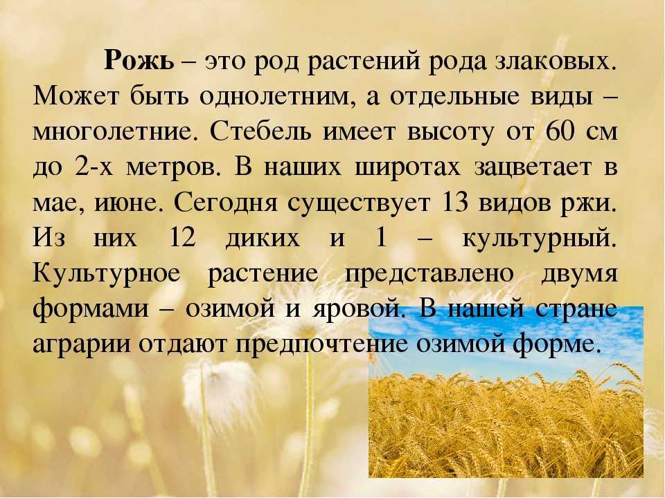 К чему снится поле во сне: толкование, сонник для мужчин и женщин :: гороскоп :: клео.ру