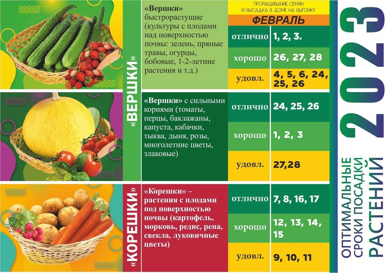 Лунный календарь