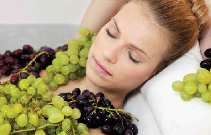 К чему снится виноград 🍇 во сне, сонник 🌙 - приснился виноградник, значение сна