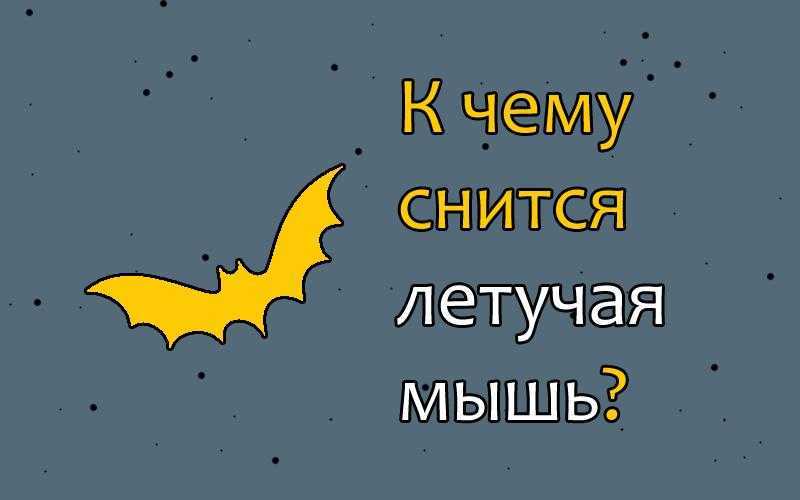 К чему снятся крысы - значение сна крысы по соннику
