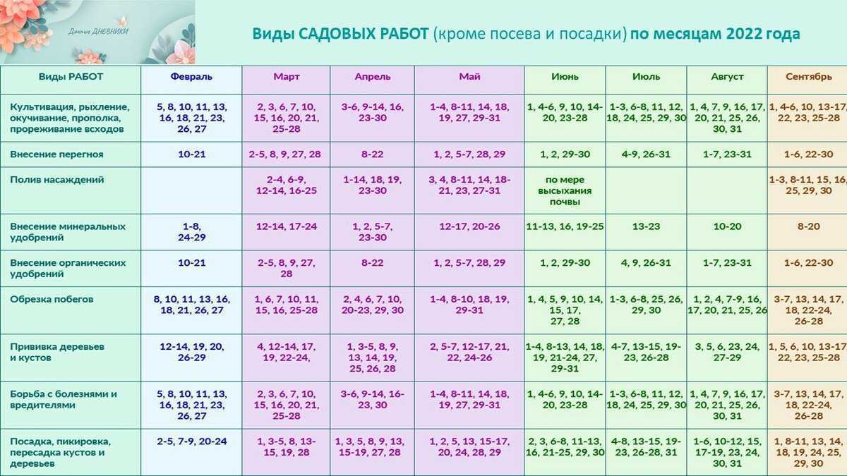 Лунный календарь на январь 2024 года