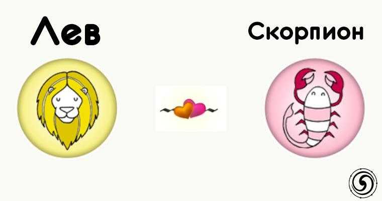 Анализ совместимости льва и скорпиона в любви и других сферах
