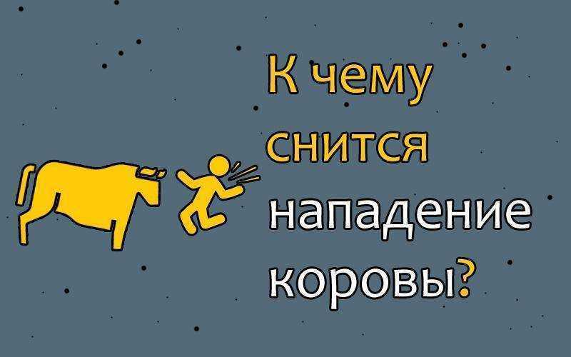 К чему снится корова. сонники про корову во сне женщины и мужчины