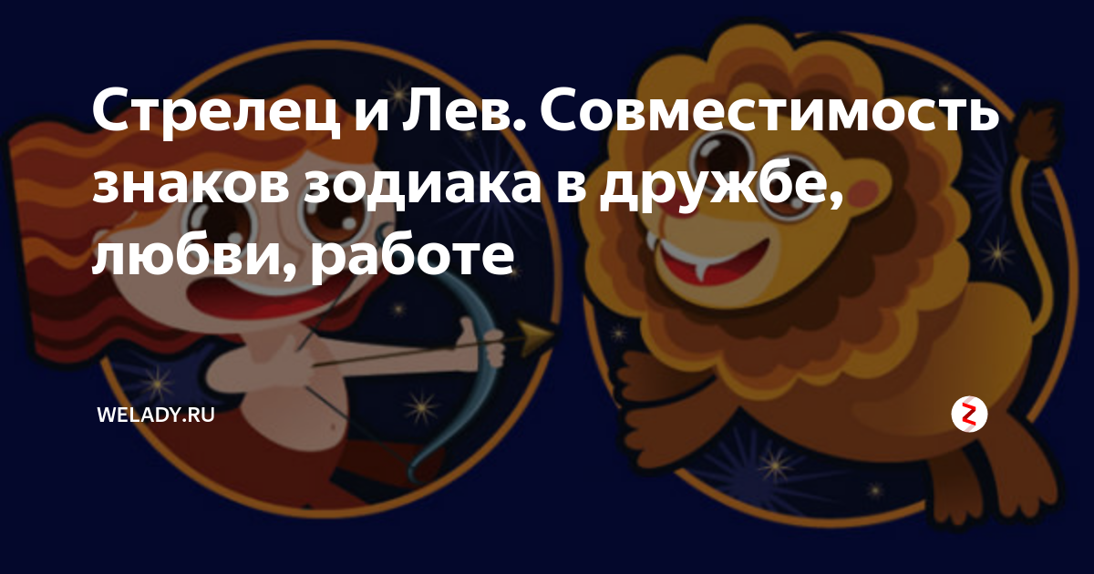 Совместимость льва и стрельца в различных сферах жизни