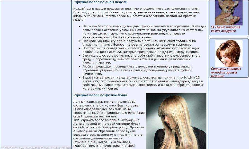 «челка к чему снится во сне? если видишь во сне челка, что значит?»