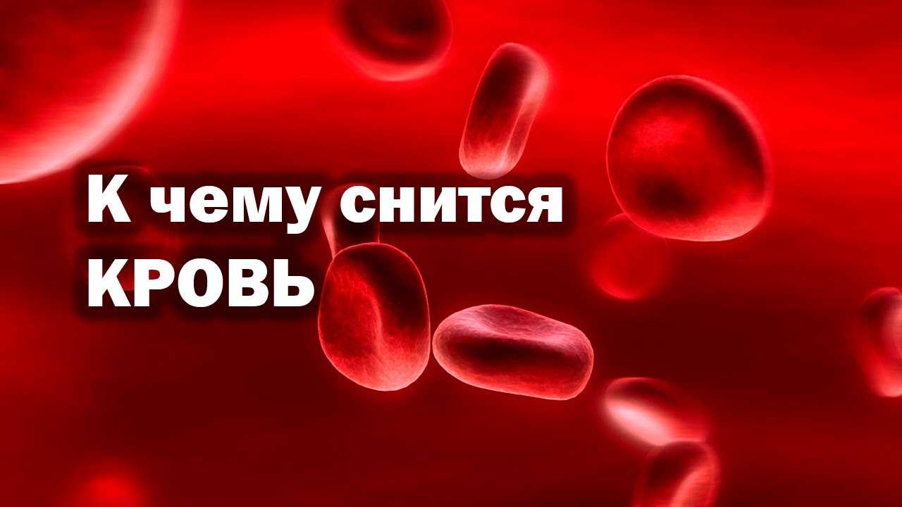 К чему снится новый асфальт, видеть новый асфальт во сне - по всем сонникам