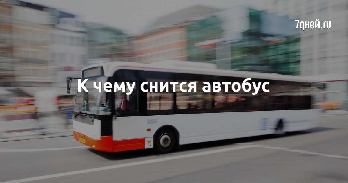 Сонник: автобус. ехать в нем к чему снится? - tolksnov.ru