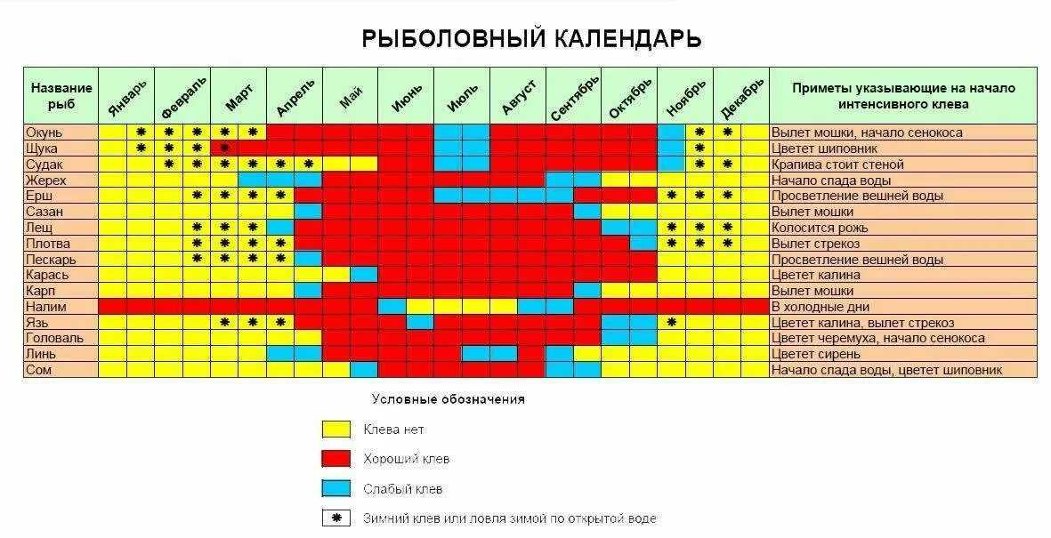 Календарь фаз луны на 2024 год по месяцам: новолуние, полнолуние, растущая и убывающая луна