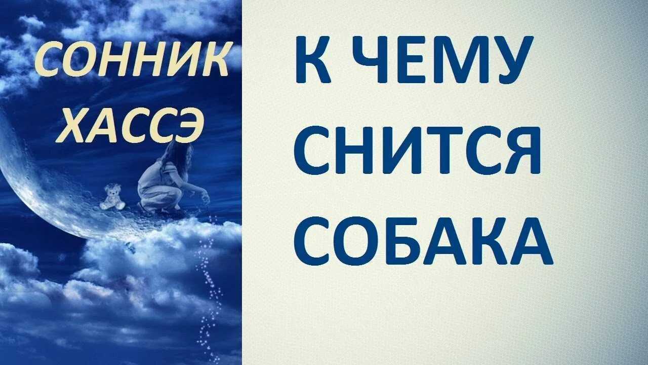 Как расшифровать сон об алкоголе — 41 точное значение