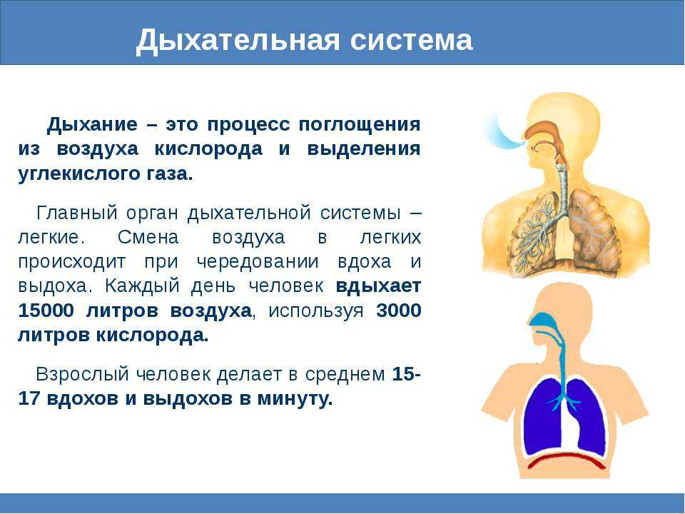 Помощь при панических атаках. дыхание по квадрату