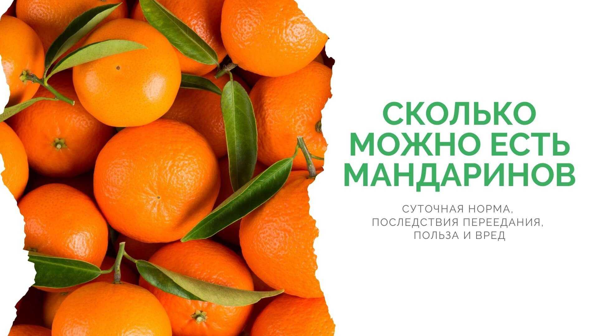 К чему снятся мандарины и апельсины: значения снов о цитрусовых фруктах и деревьях